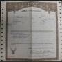 1980_xr-750_certificate_of_origin_by_dr_dick.jpg
