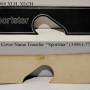 1977-1980_xlh-xlch_name_transfer-sportster-_34961-77_by_nitrofrankie_go-fast_hd.jpg