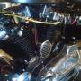 aftermarket_timing_plug_on_71_xlch_by_whitewalls.jpg