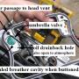 umbrella_valve_by_phillober_labeled_by_hippysmack.jpg