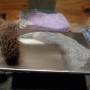 polishing_stainless_32_by_hippysmack.jpg
