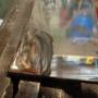 polishing_stainless_65_by_hippysmack.jpg