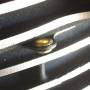 mls_rivets_1_by_johnk.jpg