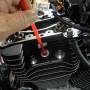 tdc_with_straw_-_single_or_dual_plug_heads_by_hippysmack.jpg